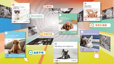 网购宠物患病率高? 慎防宠物钓鱼诈骗！